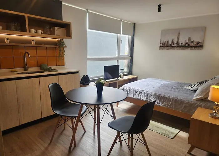Hom I Acogedor Y Luminoso Depto Studio En Nunoa
